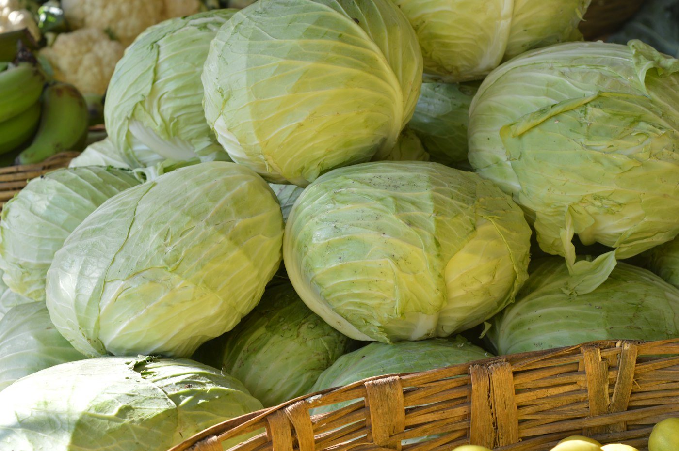 Can you freeze cabbage? How to do it so it is not soggy
