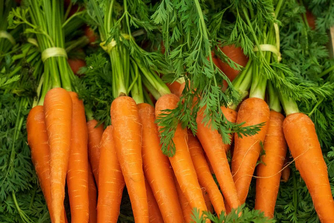 Can you freeze carrots? Blanch them first