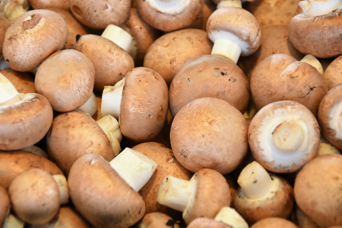Can you freeze mushrooms? Yes: cook them first