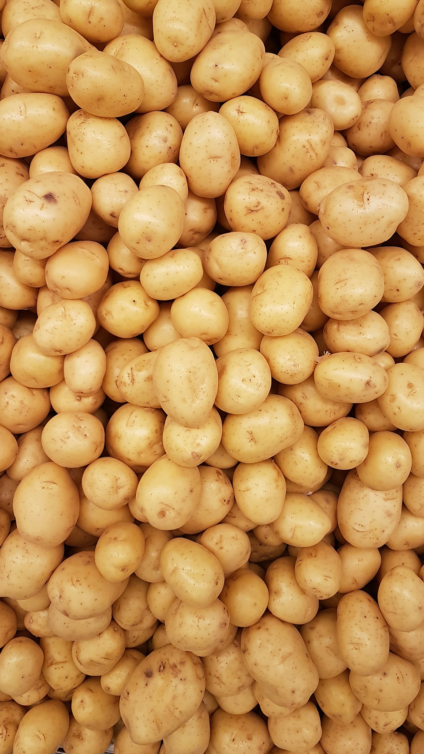 Can you freeze potatoes? Raw, cooked and mashed